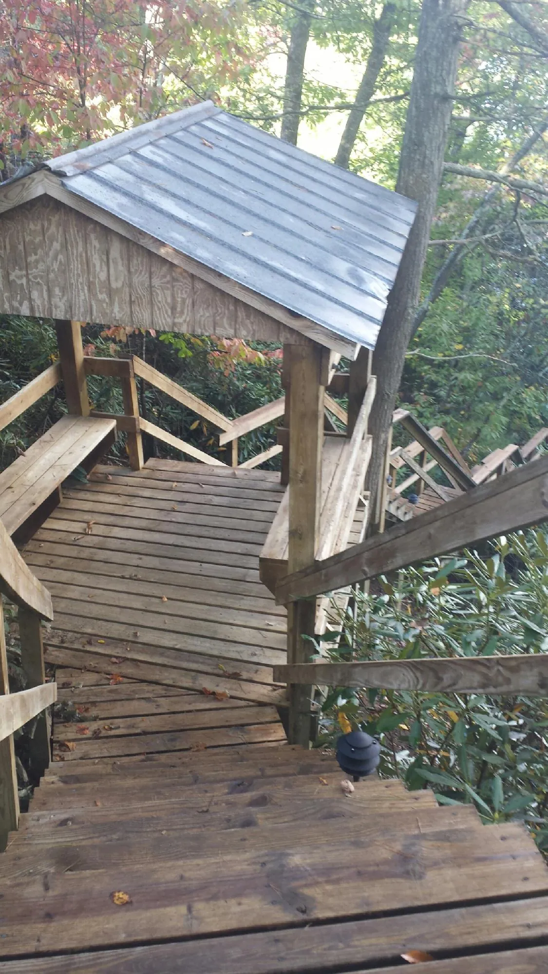Metal roofed shelter over wooden steps on a wooded walkway — Skylight Repair & Installation work by our crew in Alta Vista