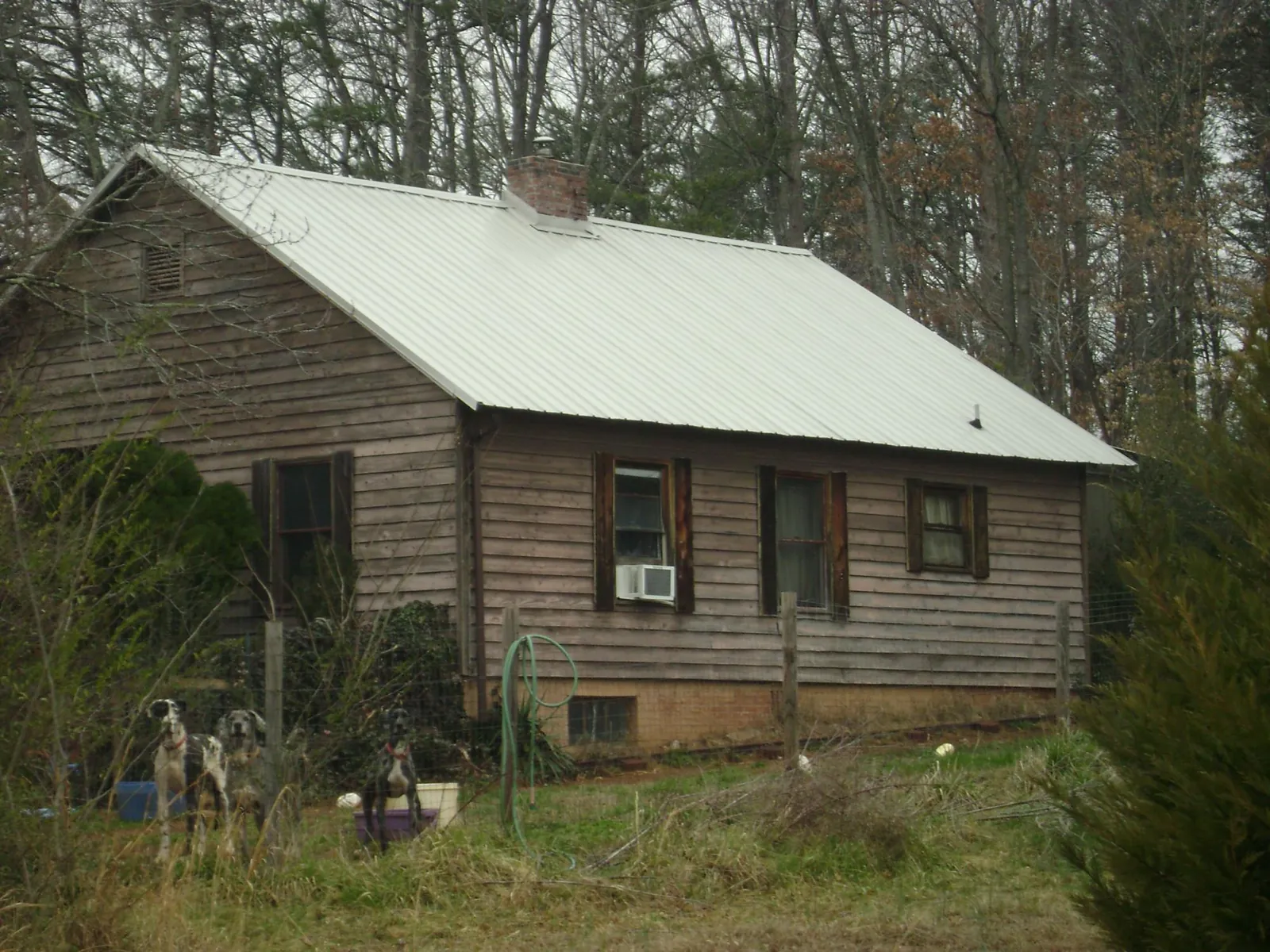 White metal roof on an old wood sided farmhouse, from a Asphalt Shingle Roof Repair job in Alta Vista